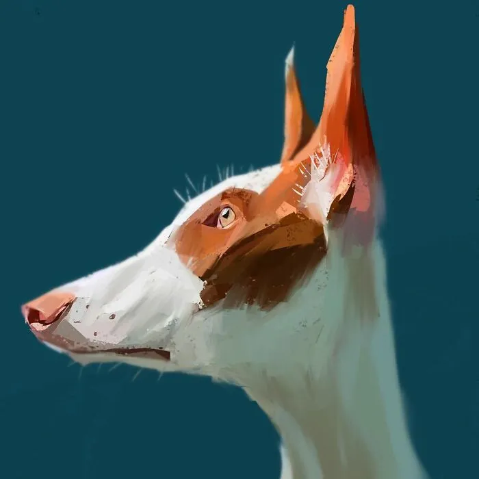 Artist Makes Caricatures That Capture Dogs’ Most Prominent Features (63 Pics)