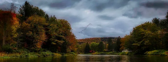 West Branch Of The Delaware River, Border Of New York & Pennsylvania Couple Weeks Ago