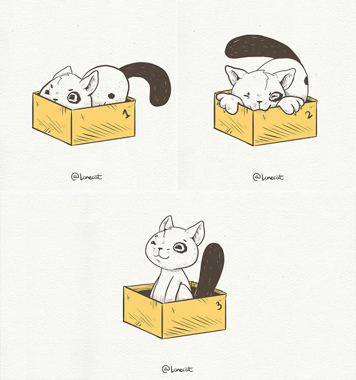 Which One Are You Today? Box 1, 2 Or 3?