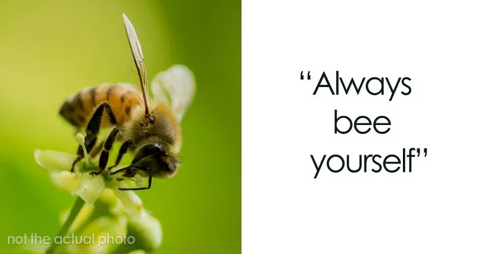 Cutest Bee Puns That'll Positively Bee-witch You