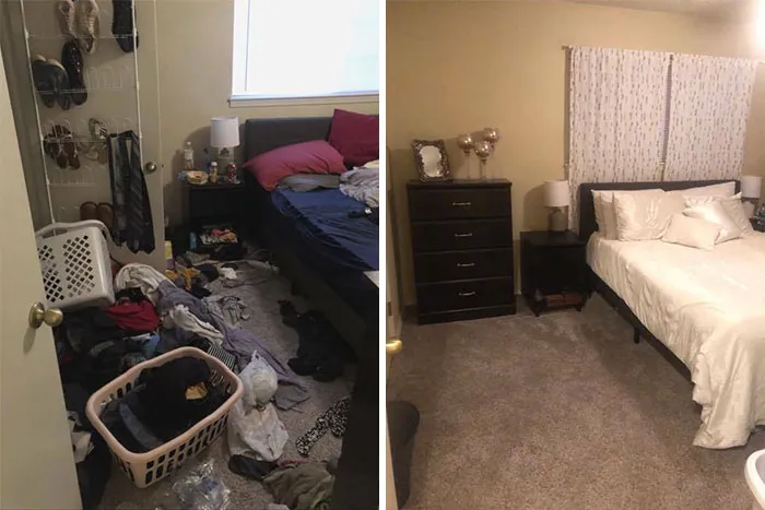 Finally Handled The Depression Nest - Which Was Basically The Whole Apartment At One Point