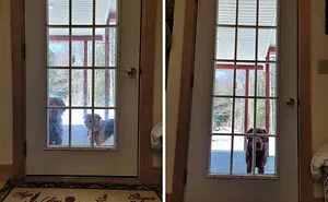 People Share 40 Before And After Pics Of Them Cleaning Up