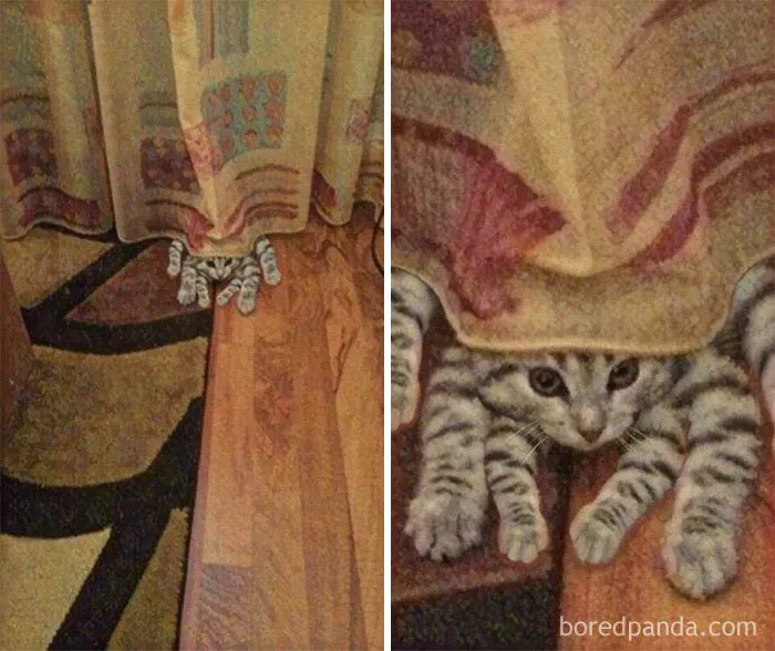 El Gato Araña, el profanador de pies