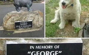 This Online Group Is Dedicated To Times When Someone Or Something Reached 'Boss' Level (50 Pics)