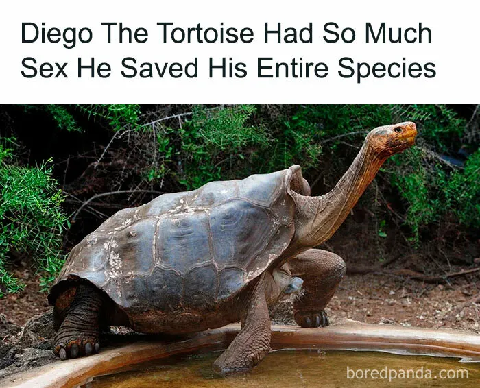 Diego,the F**ker