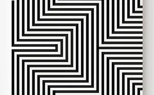 Op Art