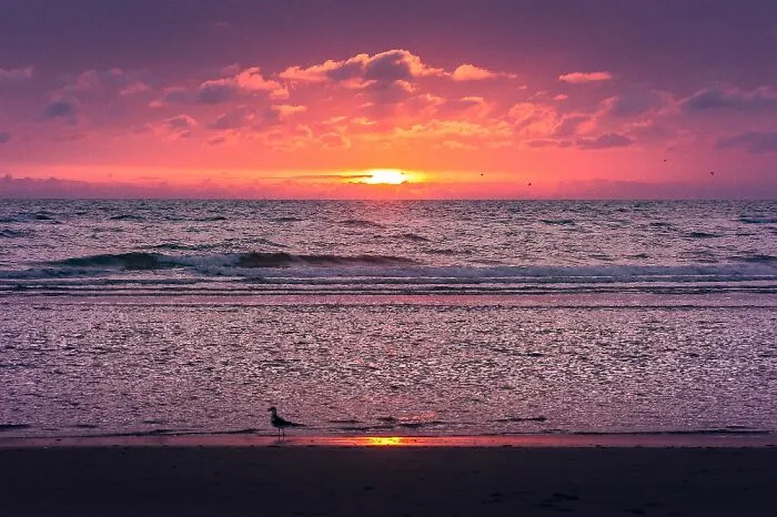 Cheesy Sunset In Denmark :-)