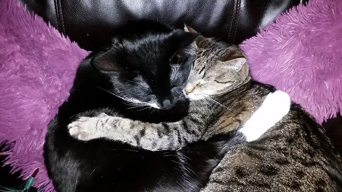 Kikio And Ramsey ...snuggle Buddies