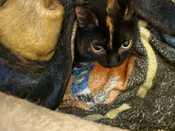 All Tucked In