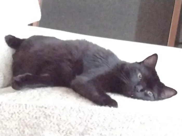 Sleepy Nero.