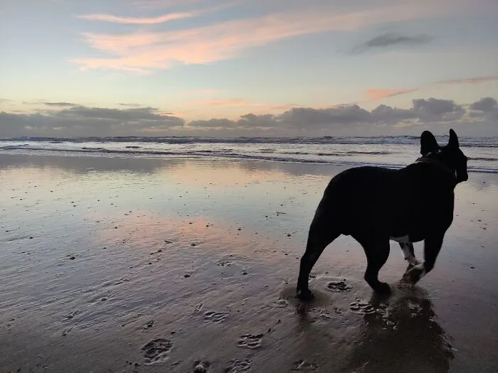Sunset In November - Zandvoort, The Netherlands