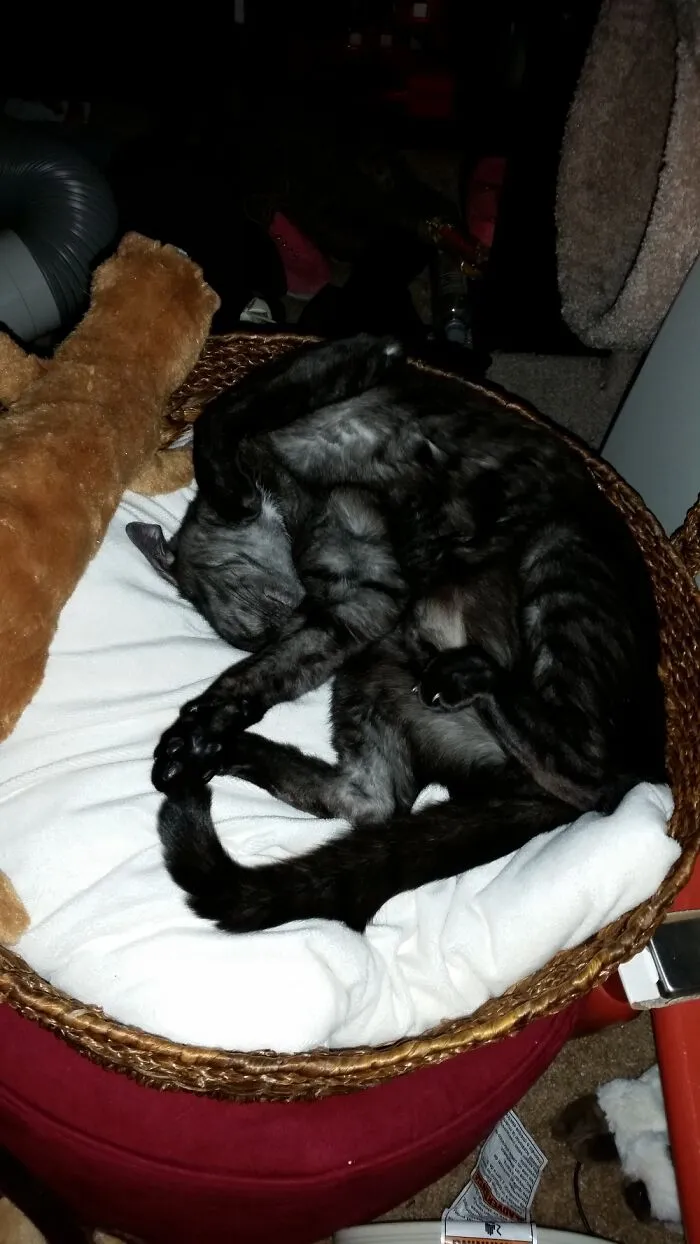 I Don't Know How This Can Be Comfortable.
