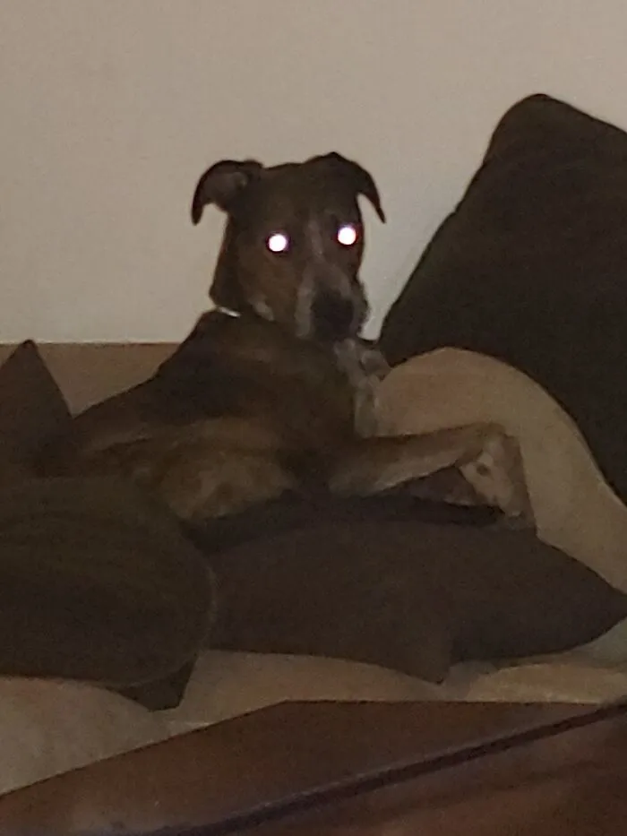 He Has Risen. All Hail Wally.