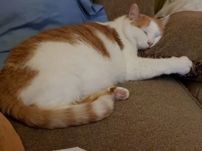 Nap Time