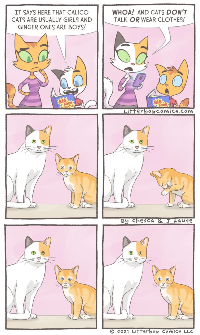 My Parenting Experience In 30 Comics With A Feline Twist (New Pics)