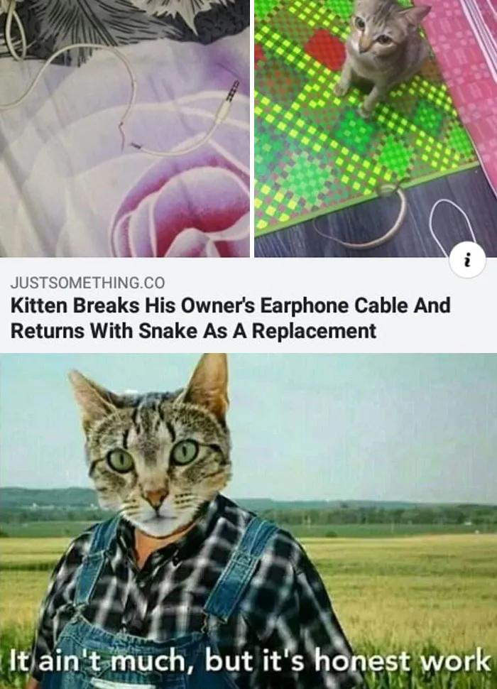 He’s Trying His Best