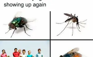 40 Jokes And Memes By People Who Don’t Regret Their Childfree Lifestyle