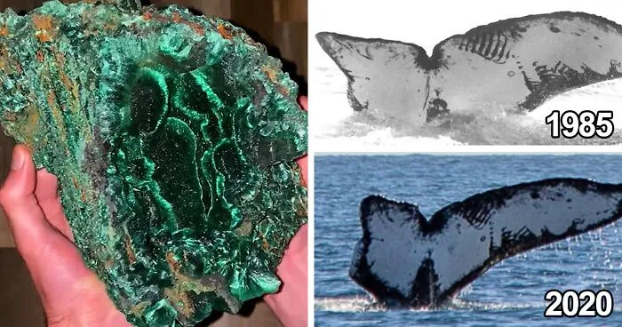 50 Times People Spotted Something Magnificent In The Nature And Had To Share It Online