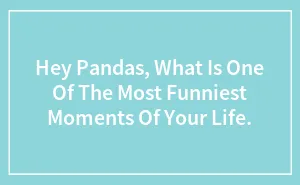 Hey Pandas, What Is One Of The Most Funniest Moments Of Your Life.