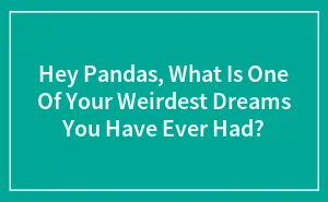 Hey Pandas, What Is One Of Your Weirdest Dreams You Have Ever Had?