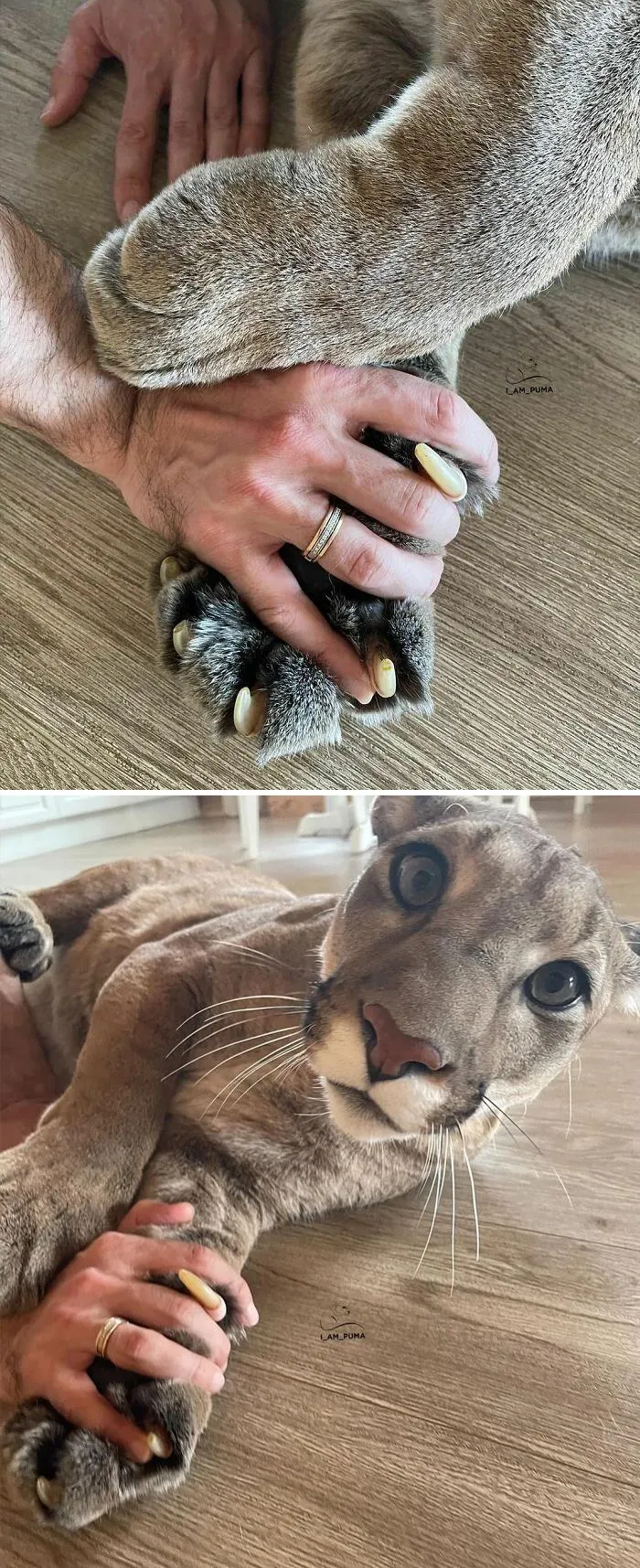 Messi's Massive Murder Mittens