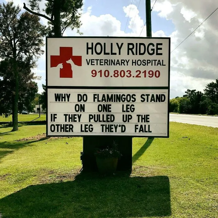 30 Of The Funniest Outdoor Signs From This Vet Hospital To Make You Crack A Smile
