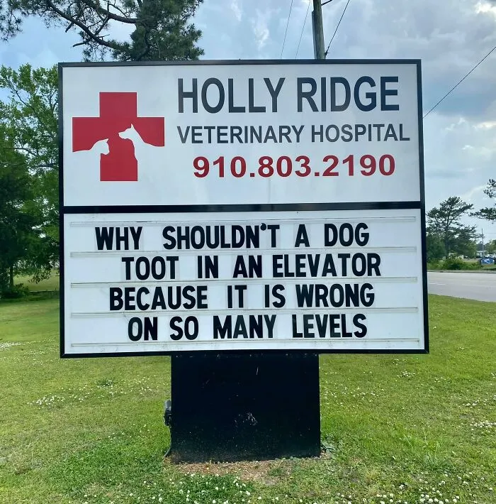30 Of The Funniest Outdoor Signs From This Vet Hospital To Make You Crack A Smile