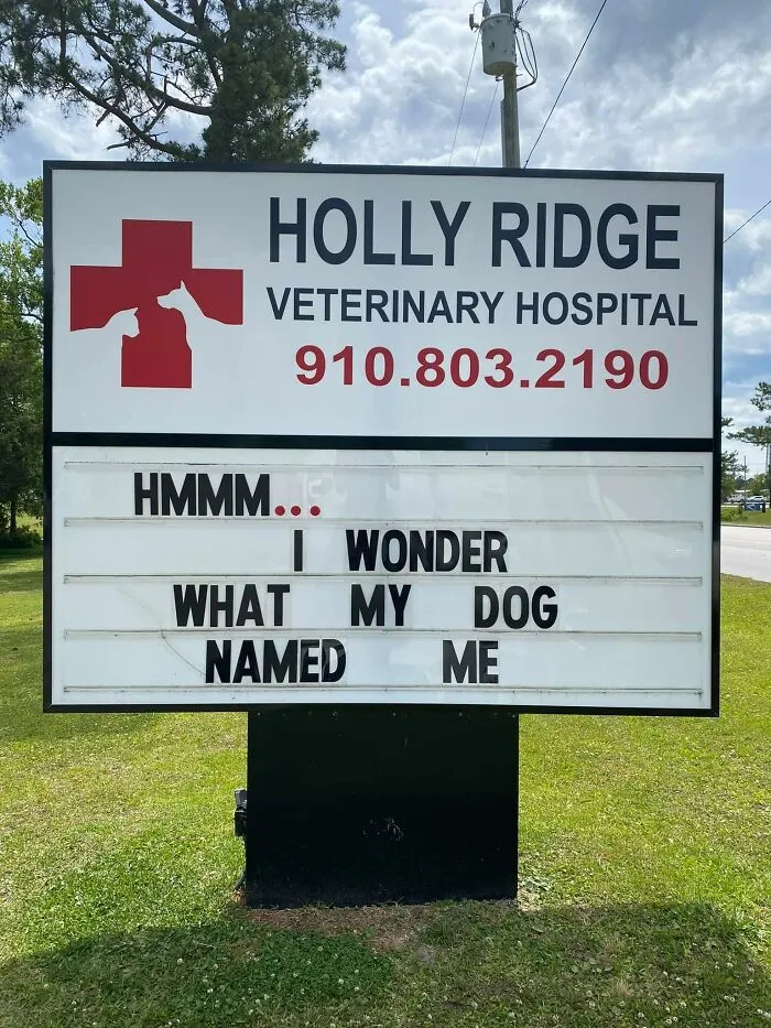 30 Of The Funniest Outdoor Signs From This Vet Hospital To Make You Crack A Smile