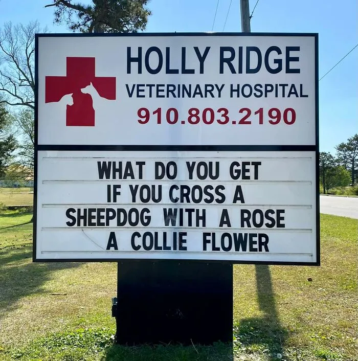 30 Of The Funniest Outdoor Signs From This Vet Hospital To Make You Crack A Smile