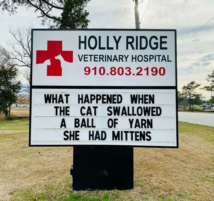 30 Of The Funniest Outdoor Signs From This Vet Hospital To Make You Crack A Smile