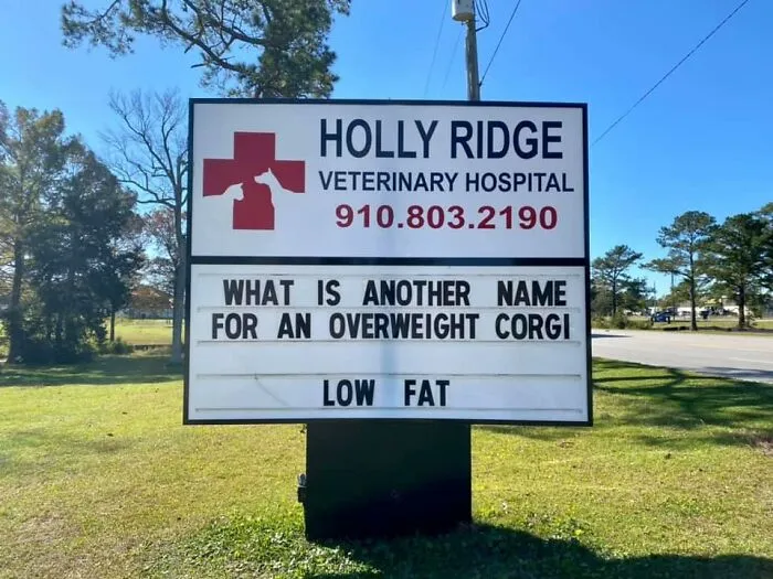 30 Of The Funniest Outdoor Signs From This Vet Hospital To Make You Crack A Smile