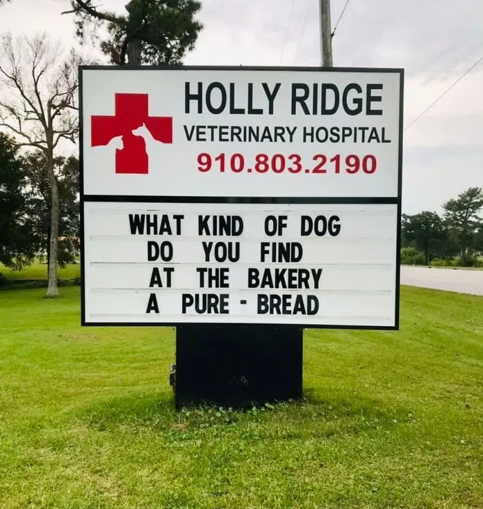 30 Of The Funniest Outdoor Signs From This Vet Hospital To Make You Crack A Smile