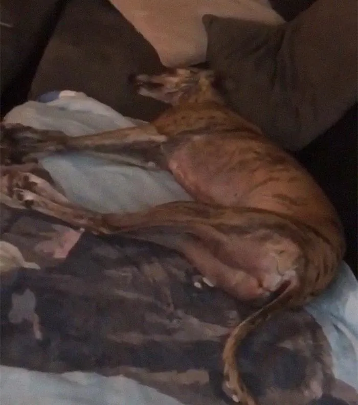 Sleeping