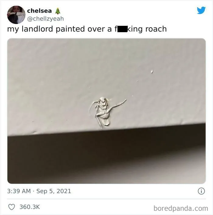 Leech Paints Over A Roach