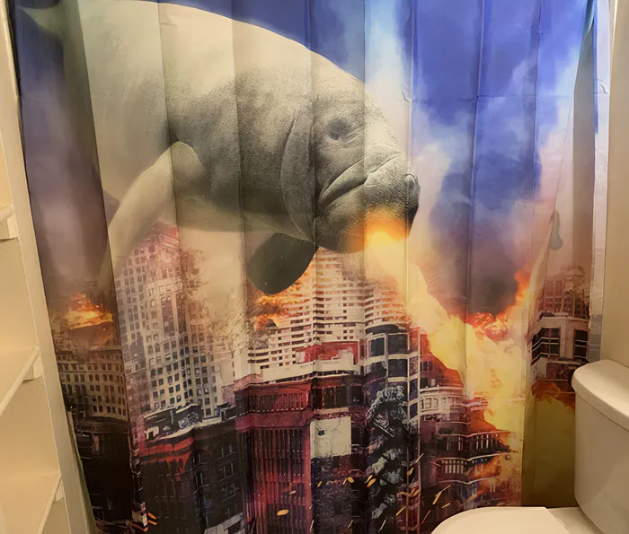 The Shower Curtain In This House
