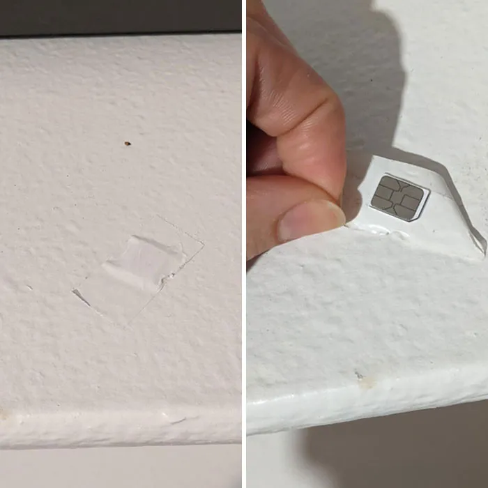 Acabo de mudarme a un nuevo apartamento y me encontré con lo que pensé que era un trozo de cinta adhesiva pintada pegada a una estantería