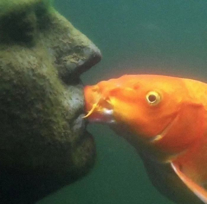 "Me quiero ir" es la cuenta de Instagram más rara, y aquí hay 40 fotos que lo demuestran (nuevas imágenes)