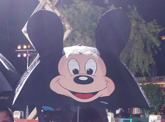 Disney Theme Park Employees Reveal Things They Love And Hate About It (30 Posts)