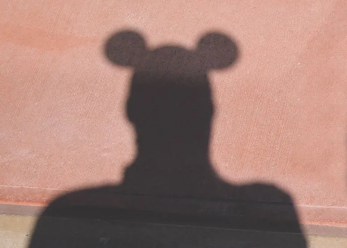 Disney Theme Park Employees Reveal Things They Love And Hate About It (30 Posts)
