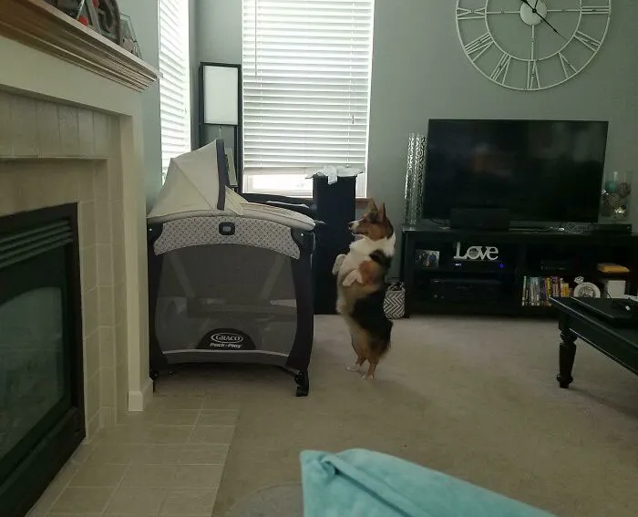 Just Checking Up On My Baby Brother