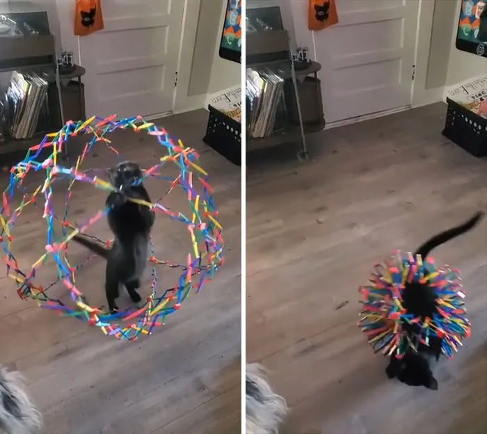 Mistakes Were Made