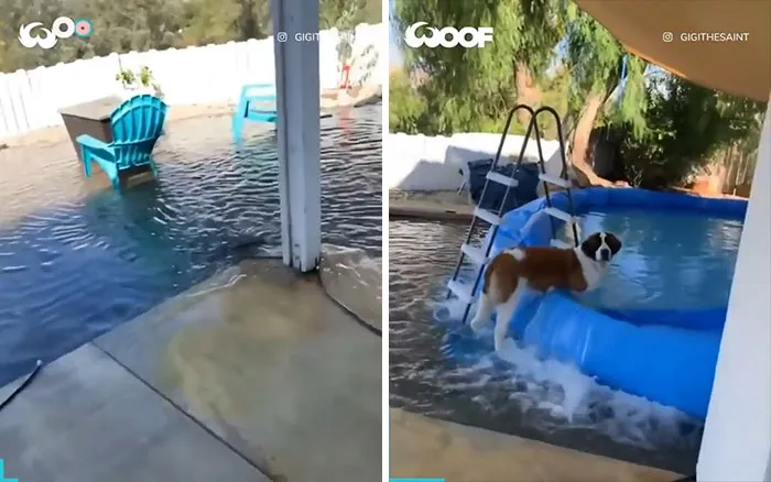 La piscina no era lo suficientemente grande, así que la hice más grande