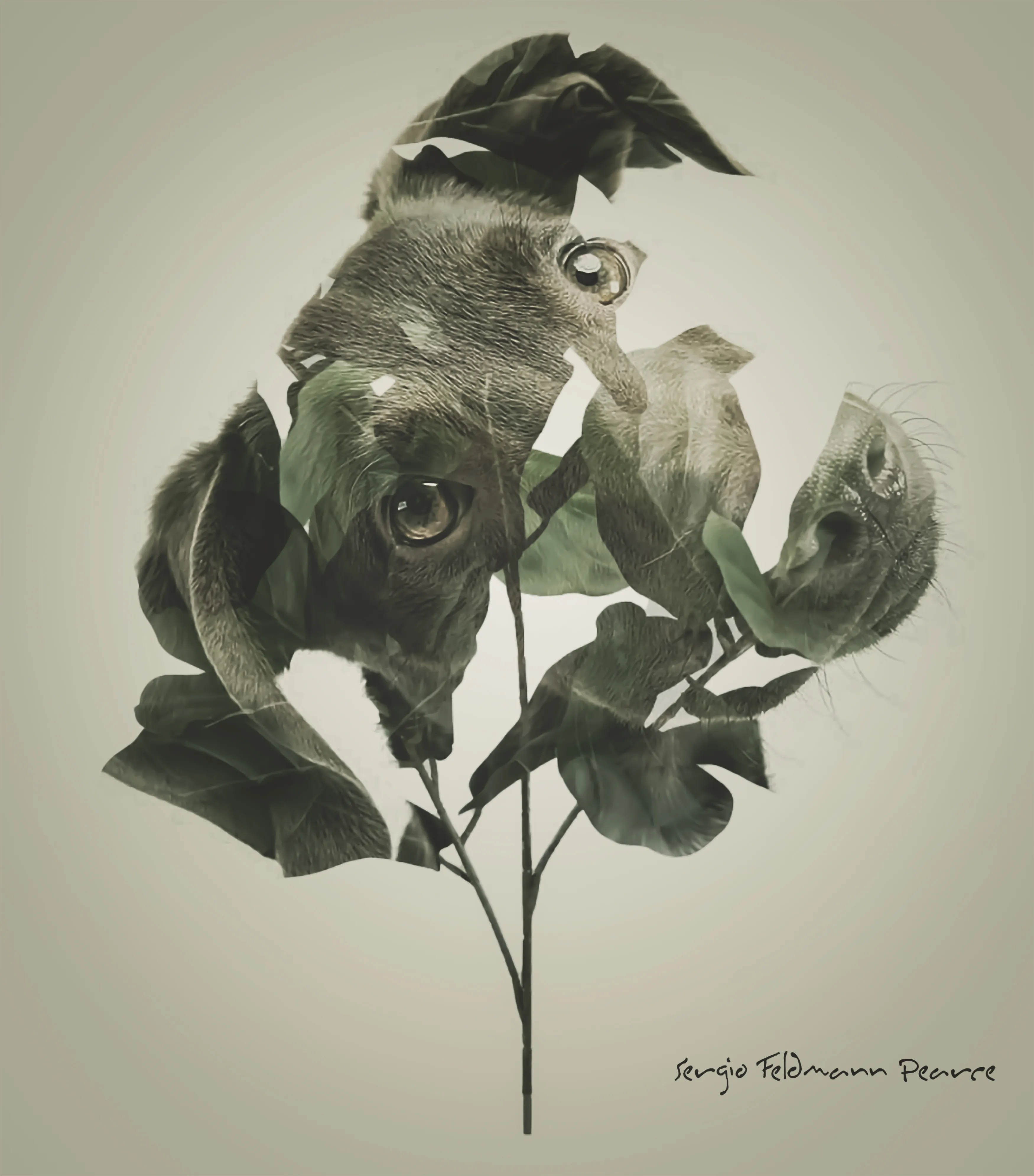 I Created This Artwork By Mixing Different Techniques: Double Exposure And Yuxt Of Layers.
