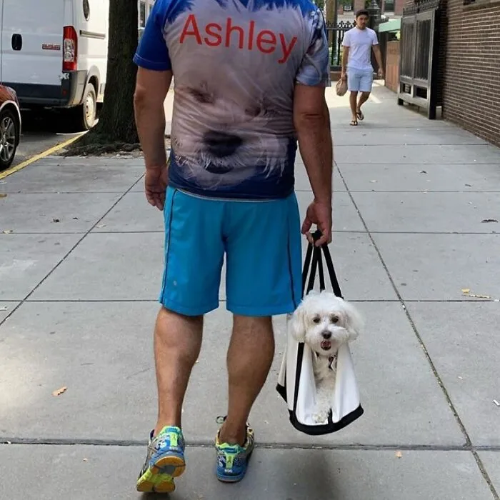 41 Times Folks Were Caught Carrying Dogs In Bags And It’s Adorable