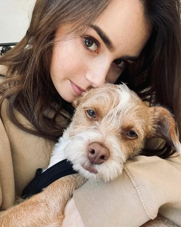 Lily Collins