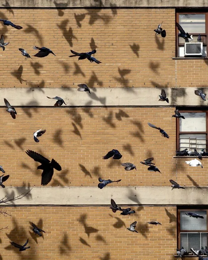 40 Fotos de las curiosas concidencias que se encuentran en las aceras de Nueva York, por Eric Kogan