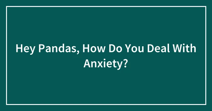 Hey Pandas, How Do You Deal With Anxiety? (Closed)