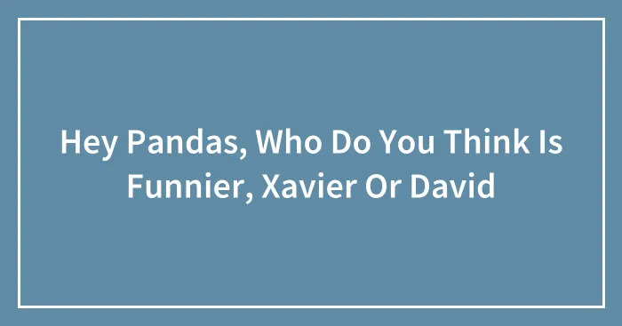 Hey Pandas, Who Do You Think Is Funnier, Xavier Or David