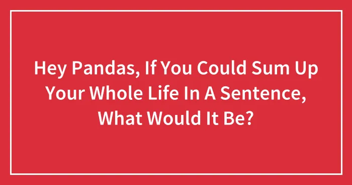 Hey Pandas, If You Could Sum Up Your Whole Life In A Sentence, What Would It Be? (Closed)