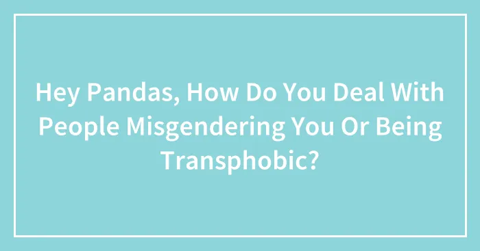 Hey Pandas, How Do You Deal With People Misgendering You Or Being Transphobic? (Closed)